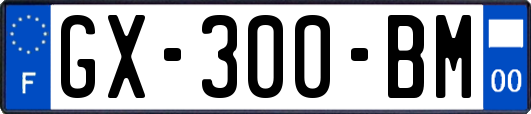 GX-300-BM