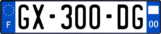 GX-300-DG
