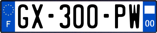 GX-300-PW