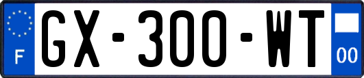 GX-300-WT