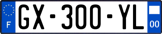 GX-300-YL