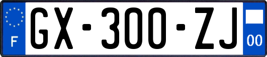 GX-300-ZJ