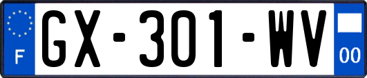 GX-301-WV