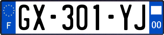 GX-301-YJ