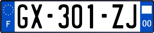 GX-301-ZJ