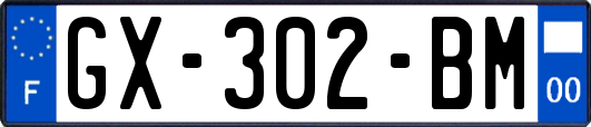 GX-302-BM