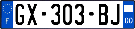 GX-303-BJ