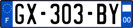 GX-303-BY