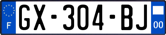 GX-304-BJ