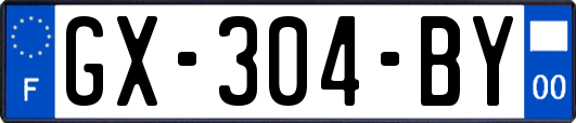 GX-304-BY