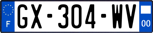 GX-304-WV