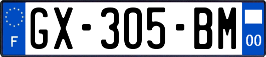 GX-305-BM