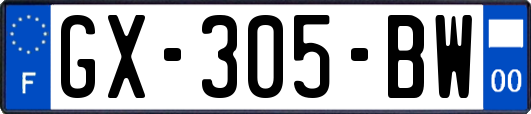 GX-305-BW