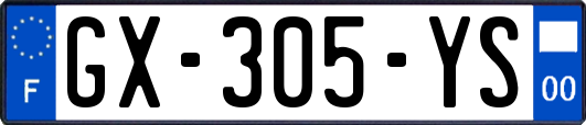 GX-305-YS