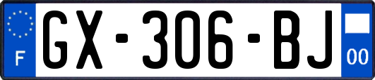 GX-306-BJ