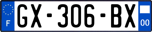 GX-306-BX