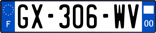 GX-306-WV
