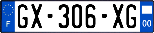 GX-306-XG