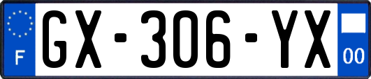 GX-306-YX