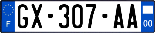 GX-307-AA