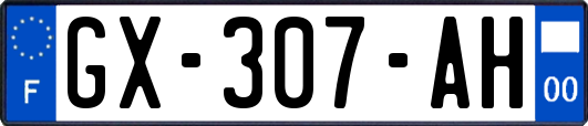 GX-307-AH