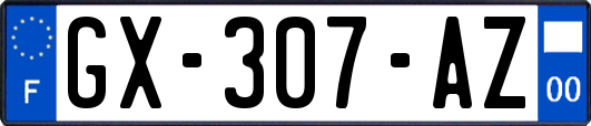 GX-307-AZ