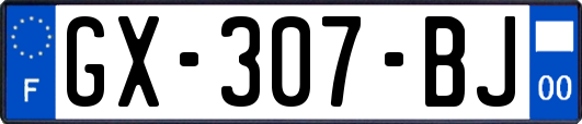 GX-307-BJ
