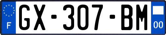 GX-307-BM
