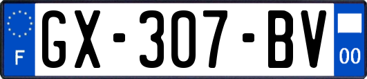 GX-307-BV