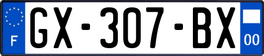 GX-307-BX