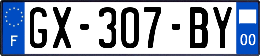 GX-307-BY