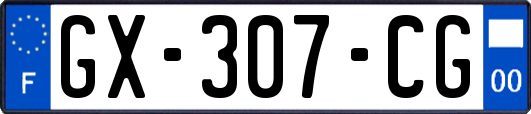 GX-307-CG