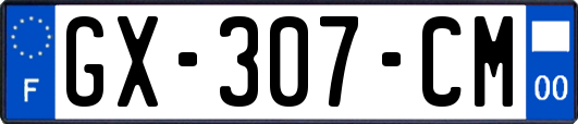GX-307-CM