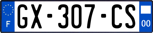 GX-307-CS