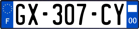 GX-307-CY