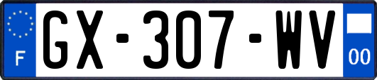 GX-307-WV