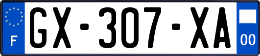 GX-307-XA