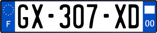 GX-307-XD