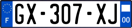 GX-307-XJ