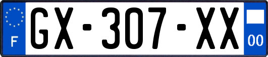 GX-307-XX