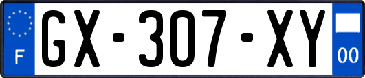 GX-307-XY
