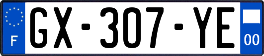 GX-307-YE
