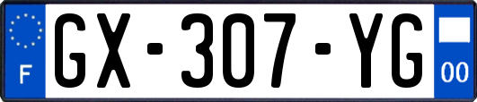 GX-307-YG