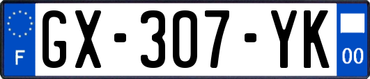 GX-307-YK