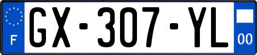 GX-307-YL