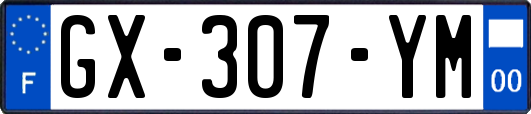 GX-307-YM