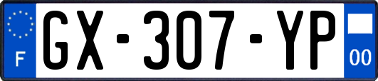 GX-307-YP