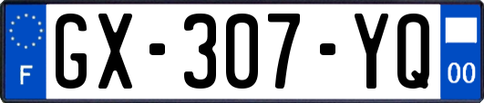 GX-307-YQ