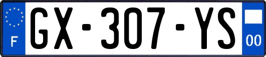 GX-307-YS