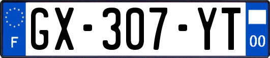 GX-307-YT